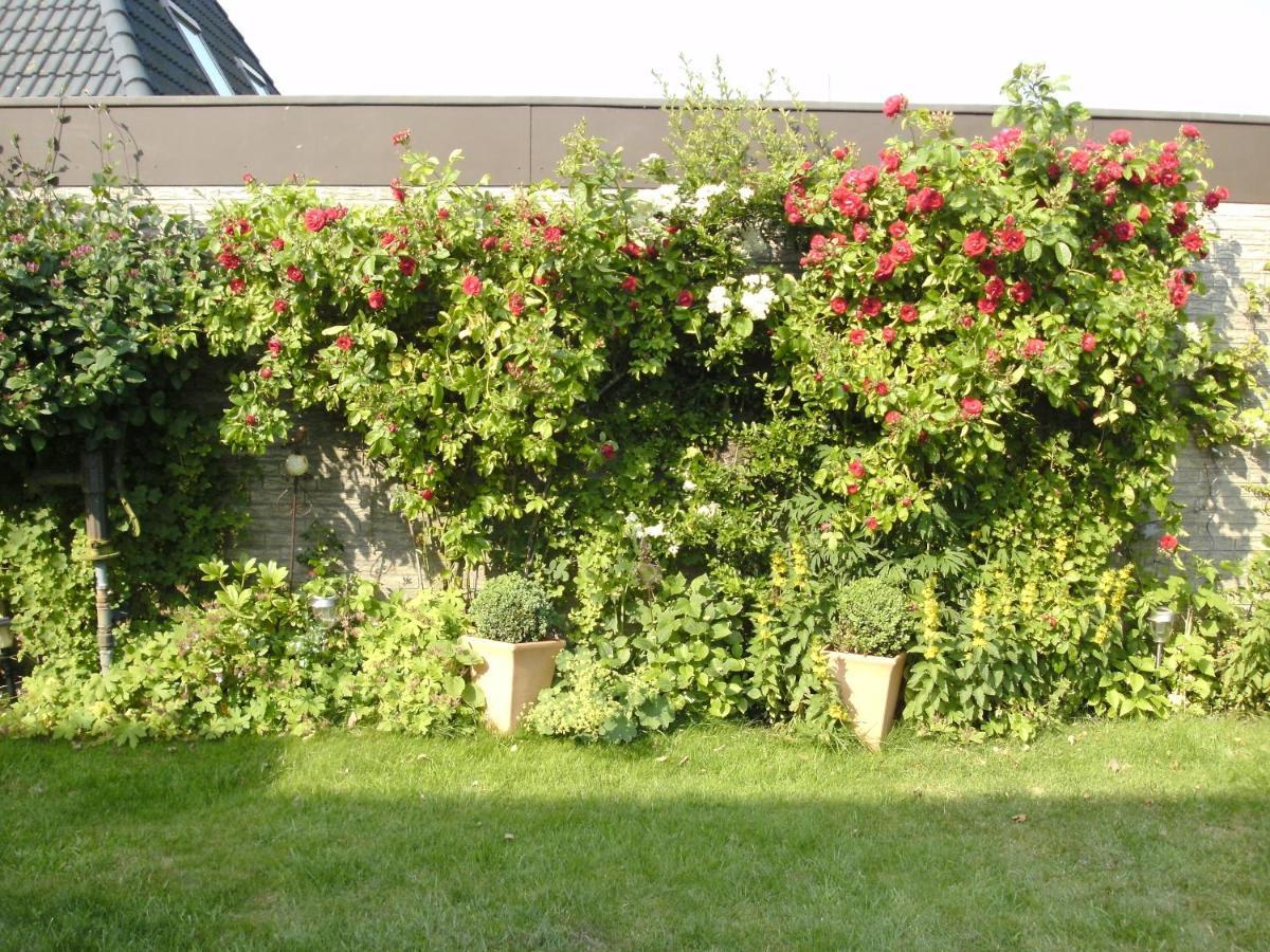 Haus Mit Lilie Und Rose Apartment Westerdeichstrich Exterior photo
